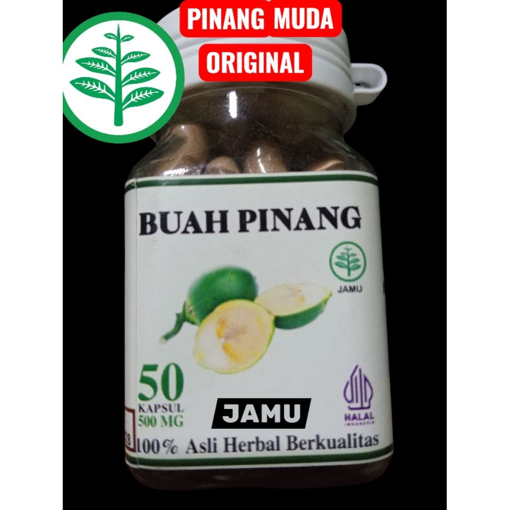 

Buah pinang Muda Original isi 50. Pcs.
