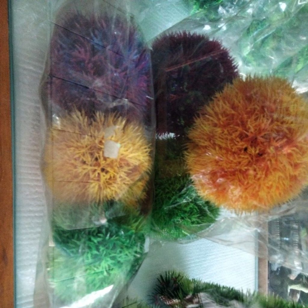 kembang bola plastik hiasan aquarium