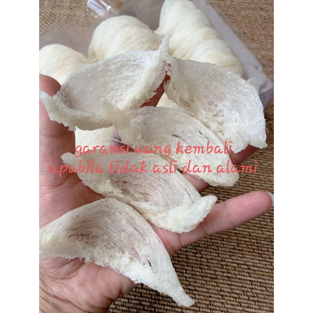 

Sarang Burung Walet Bersih Mangkok Kecil Natural 100 Gram