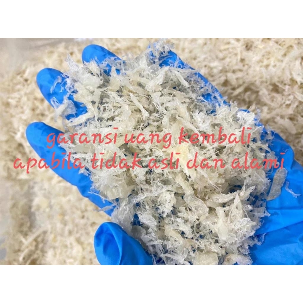 

Sarang Burung Walet Bersih Hancuran Rontokan Kasar 100 Gra