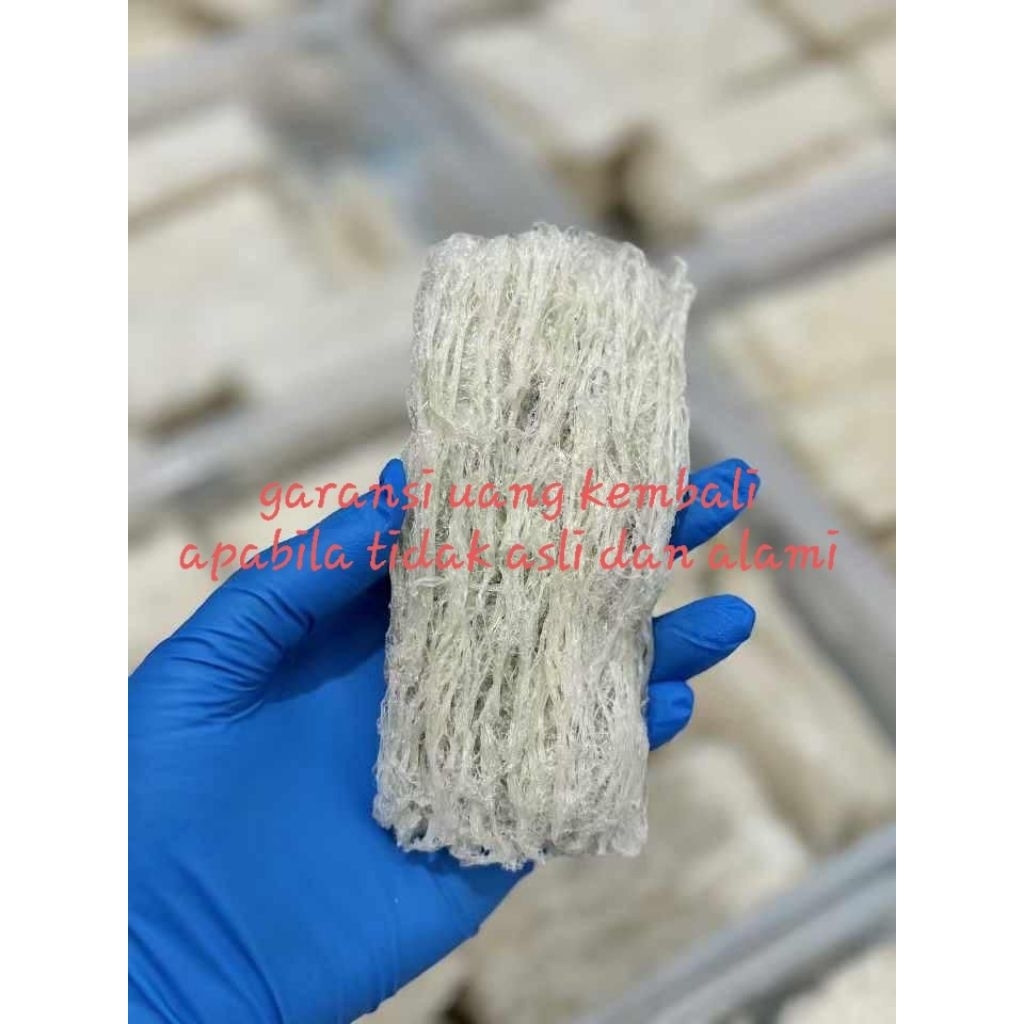 

Sarang Burung Walet Bersih Serat Tebal Cetak Mie Natural 100 Gram