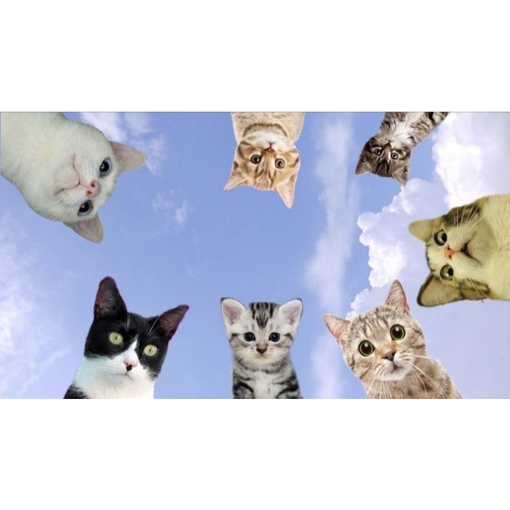 

Permen (Baca Deskripsi Produk)