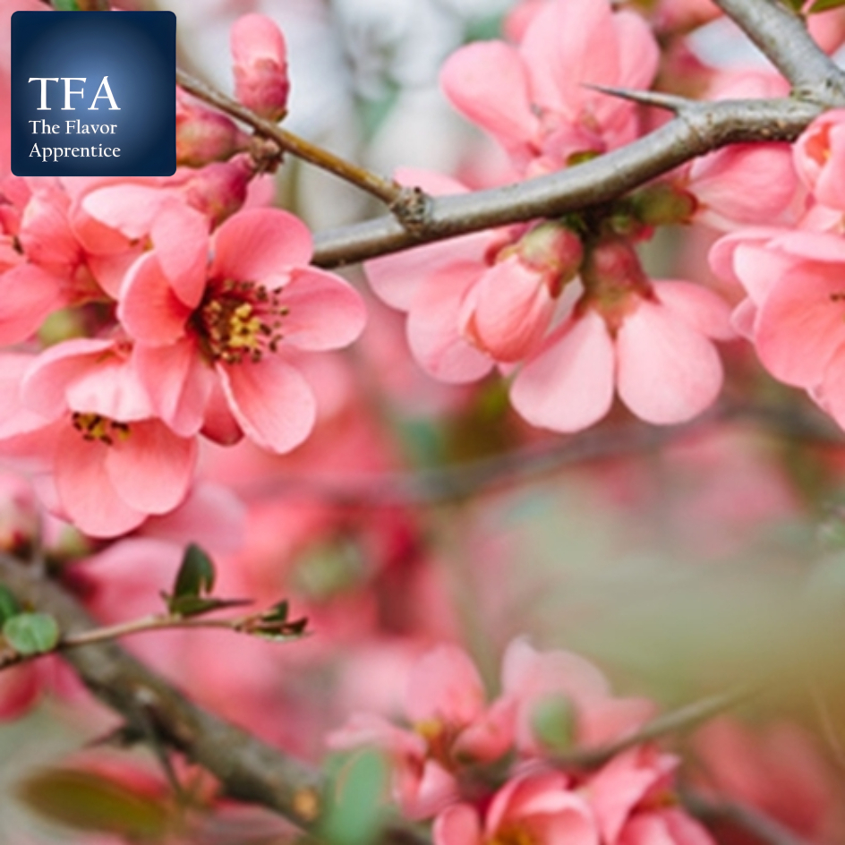 

TFA Cherry Blossom (PG) Flavor