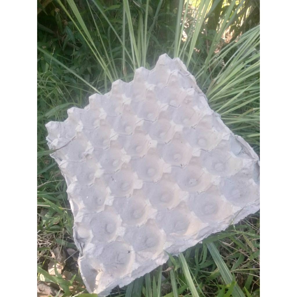 

Etre Telur ( paket per10 lembar )