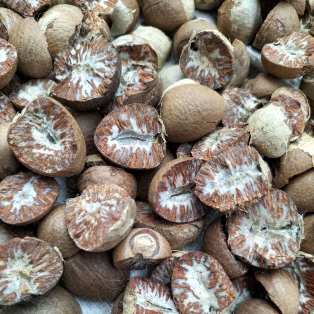 

pinang cukil kering (klotok super)