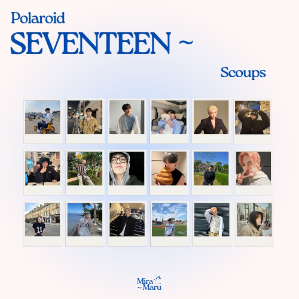Polaroid Seventeen