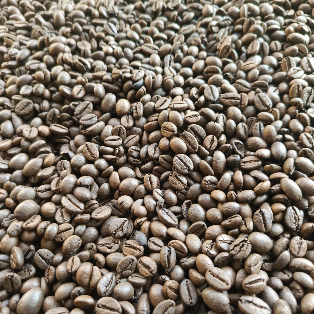 

Roasted Bean Robusta Temanggung Kemasan 20 kg