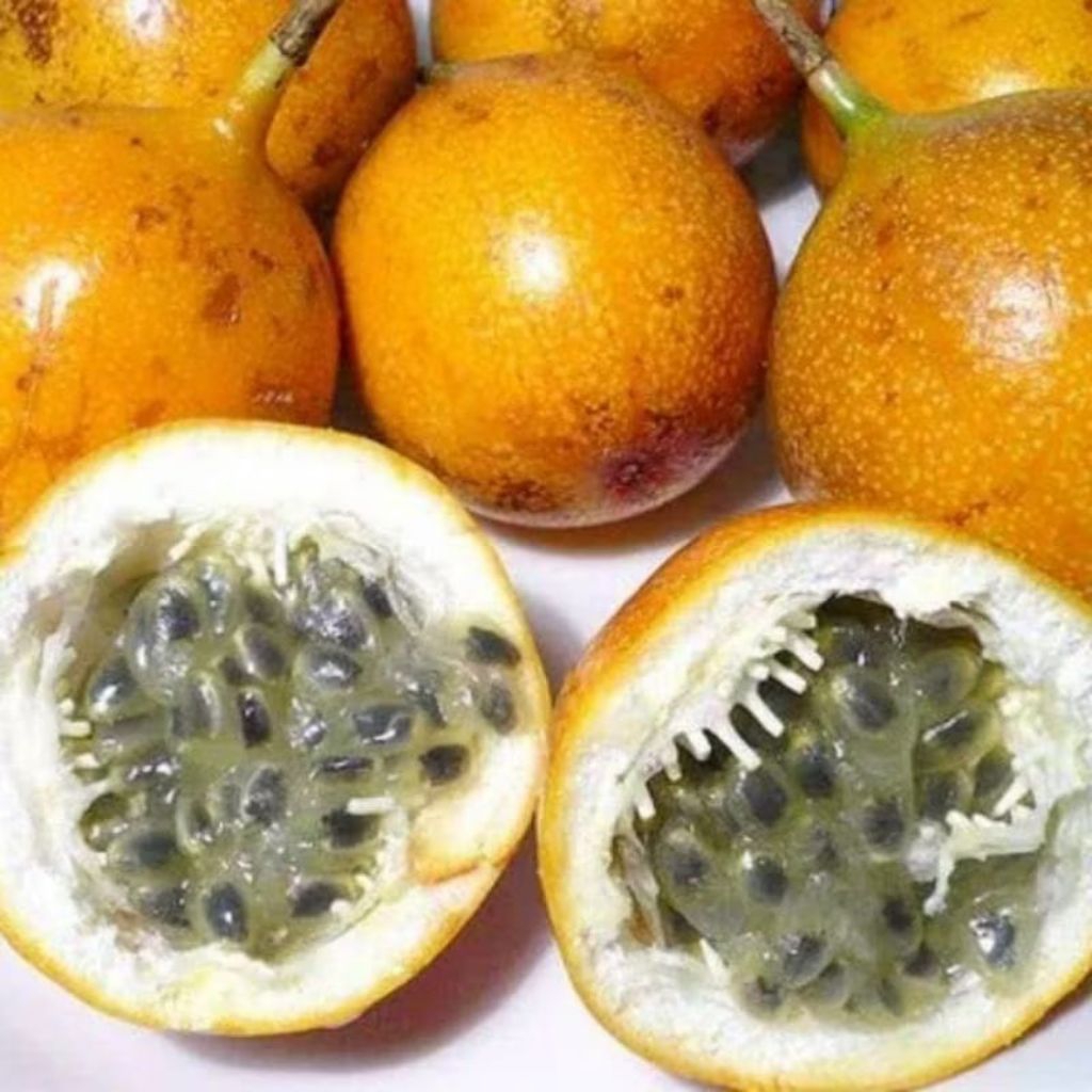 

jual 500 gr buah markisa madu/ konyal madu super manis dan segar