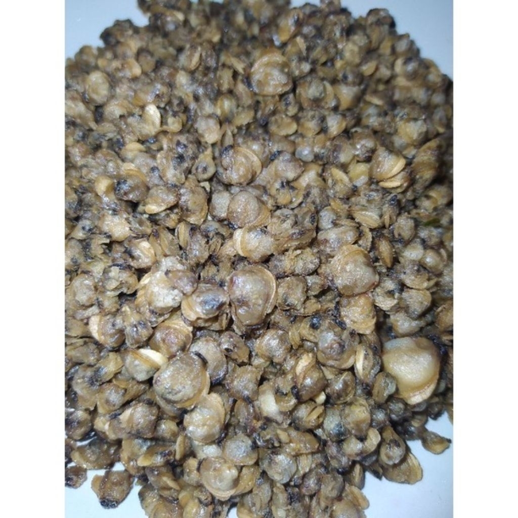 

Goreng Pensi original asli Danau Singkarak Solok Sumatera Barat