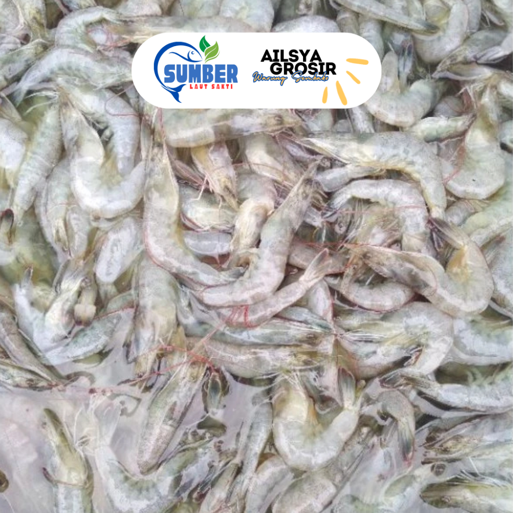 

UDANG VANAME KECIL SEGAR FRESH 1 KG