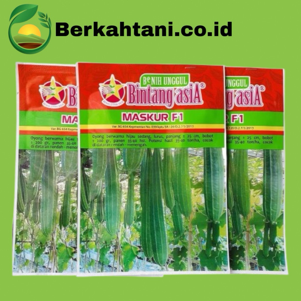 Maskur F1 10gr Benih Oyong Bintang Asia 100% Original Prima f1