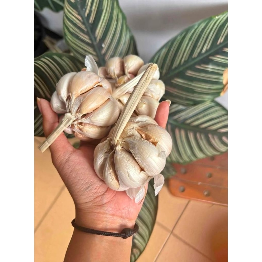 

bawang putih sinco bersih ukuran besar berat 1kg