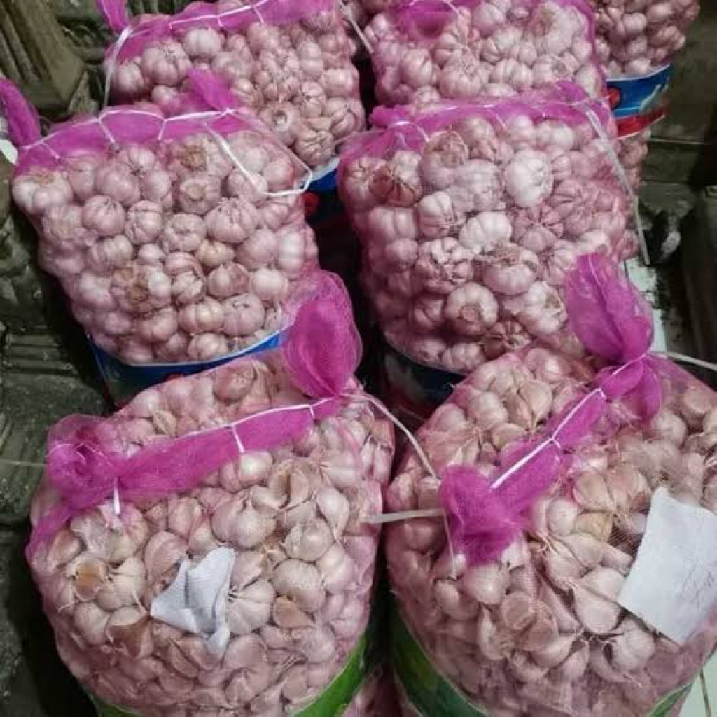 

bawang putih bersih sicu sinco 5kg 10kg 20kg