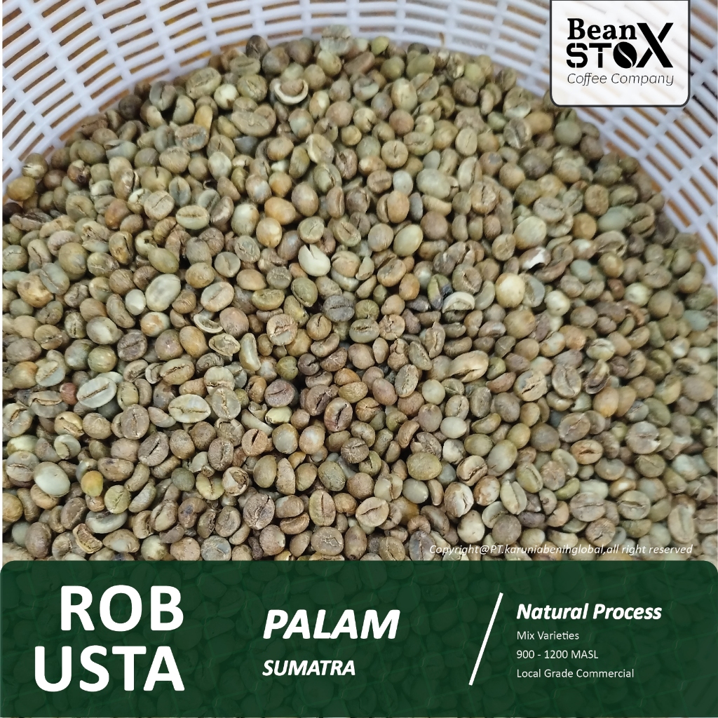 

Biji Kopi Green Bean Beanstox Robusta Sumatra Lampung Palam EK Medium Natural