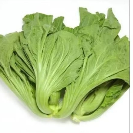 

Selada Fait 1kg/500gr