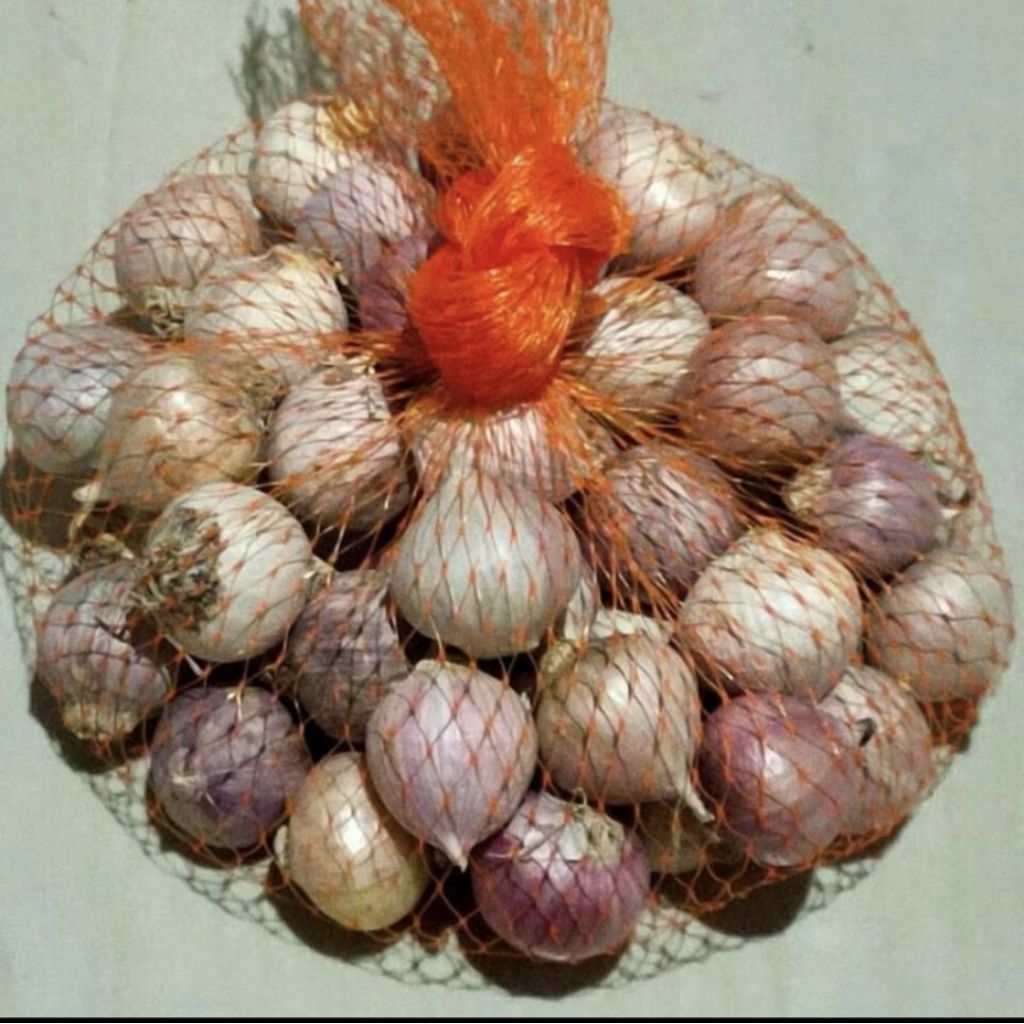 

Bawang Putih Lanang| Bawang Lanang| Bawang Tunggal Fresh Grade Ukuran Besar