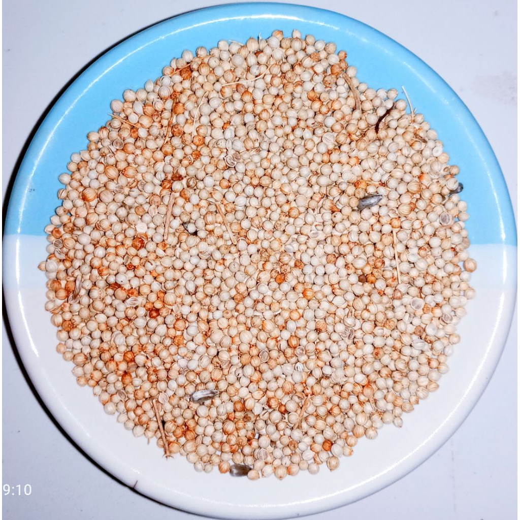 

Ketumbar putih super