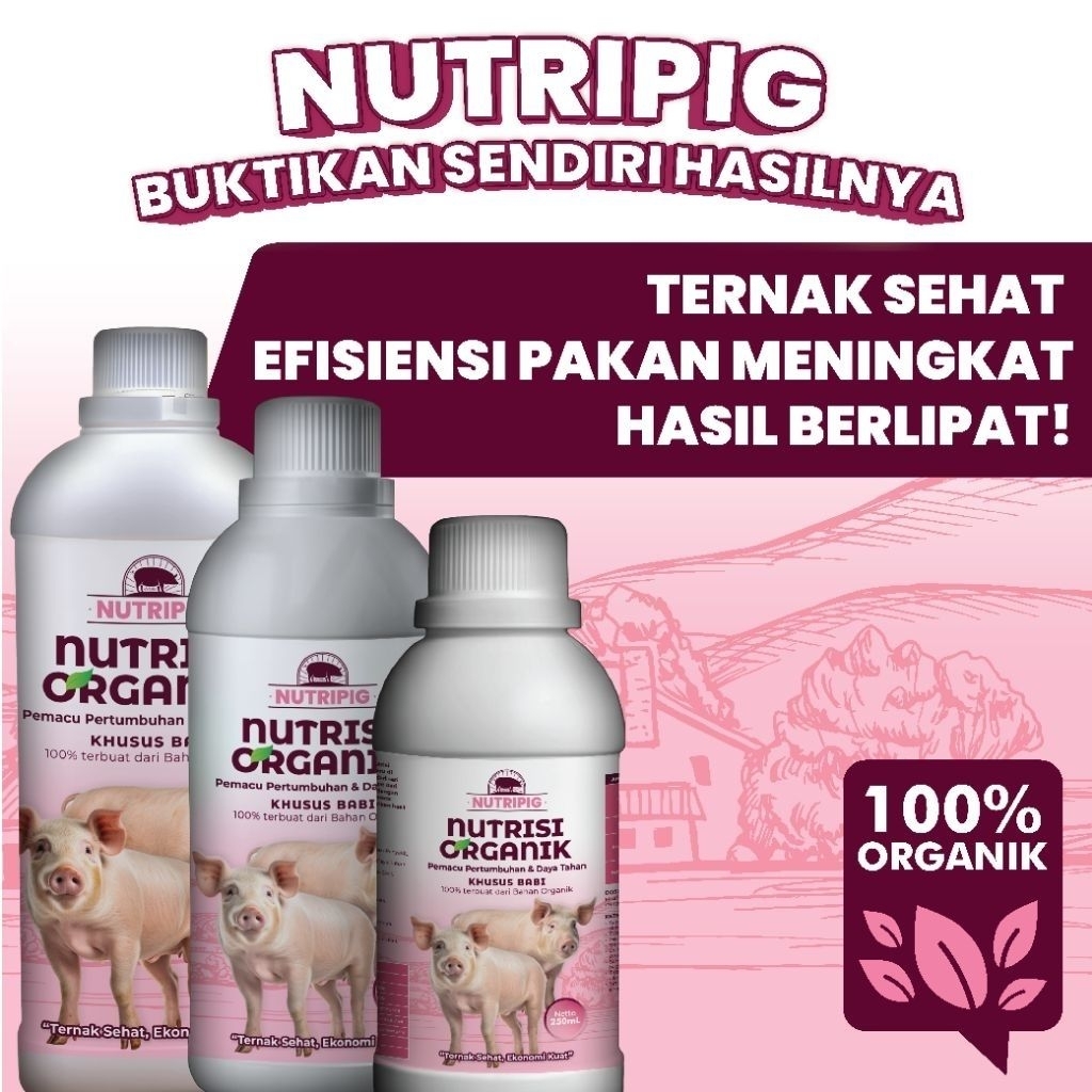 "VITAMIN BABI - NUTRISI ORGANIK TERNAK BABI" || Penggemuk & Menambahkan Nafsu Makan Ternak Babi