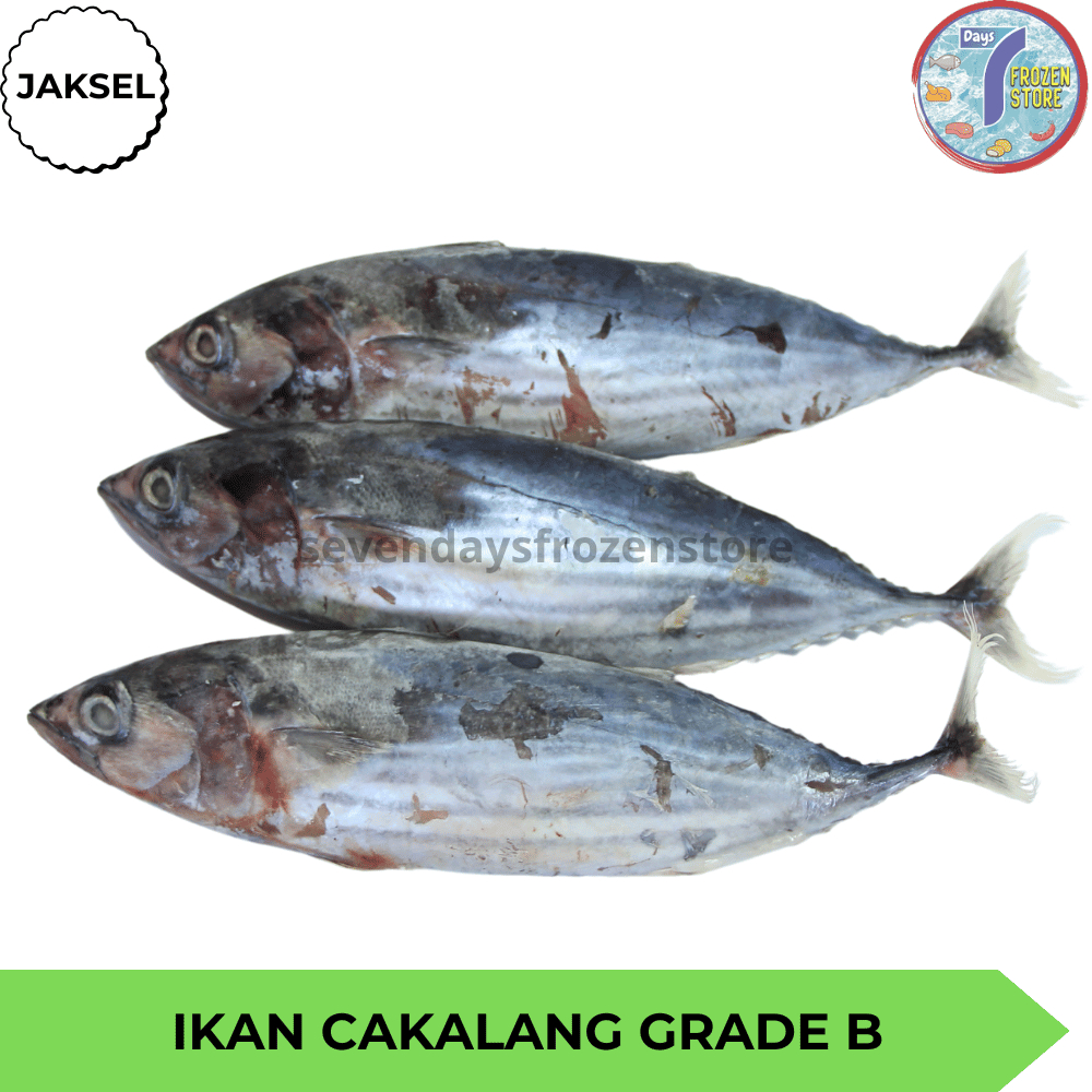 

Ikan Cakalang Grade B Frozen Beku Kapal Kemasan 800 Gr & 1 Kg