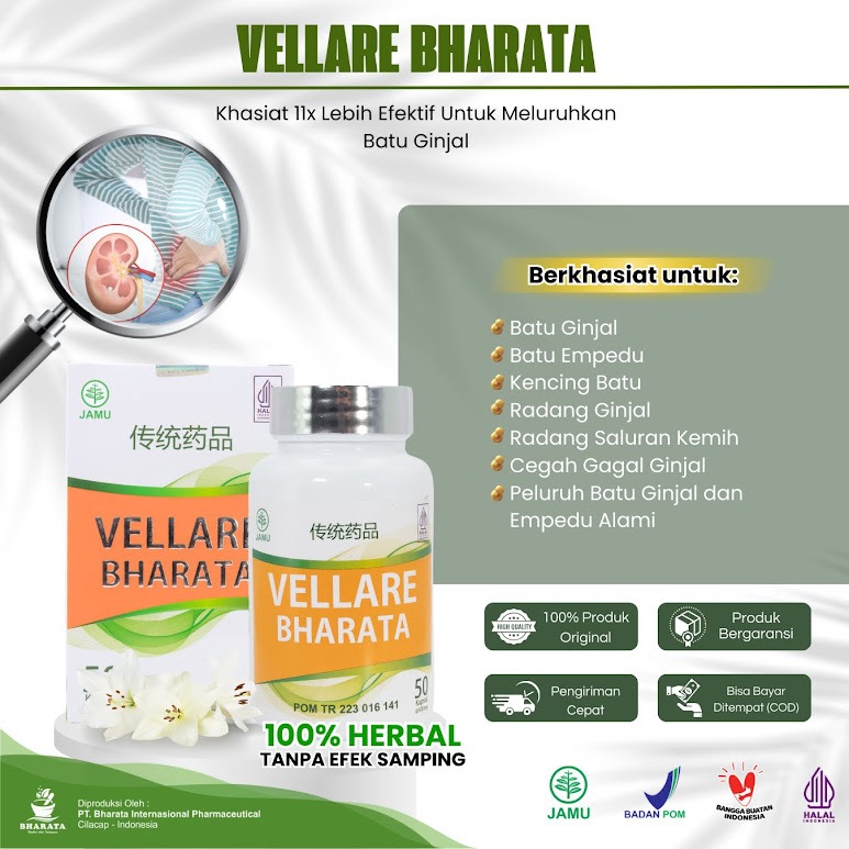 Vellare Bharata | Obat Batu Empedu | Obat Batu Ginjal