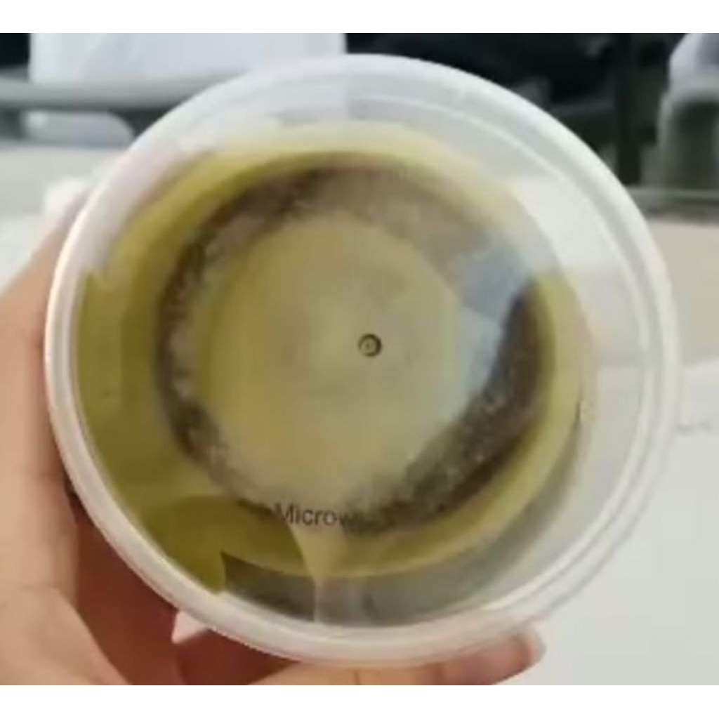 

Lava Pancake Greentea