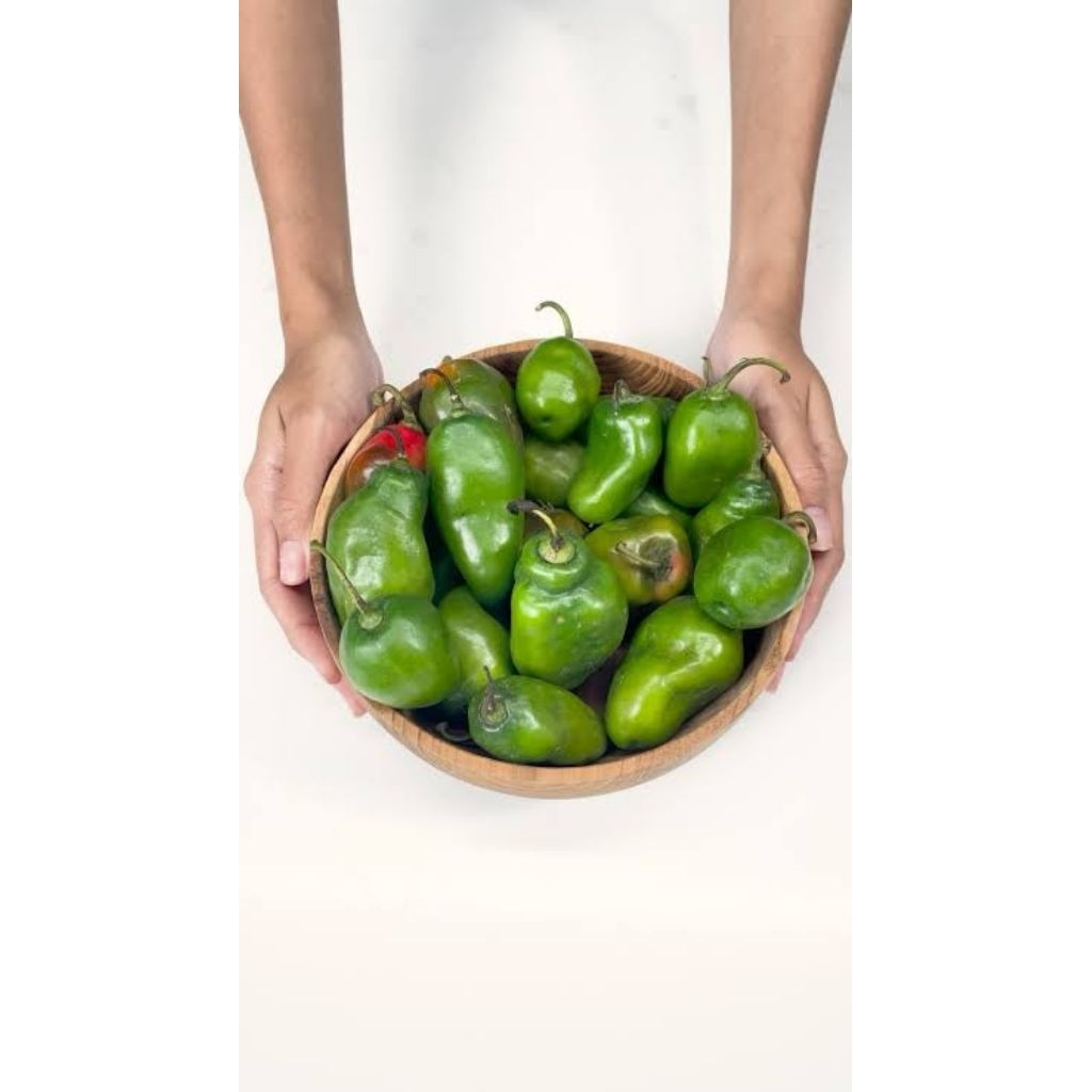 

Cabe gendot fresh di petik langsung dari petani lokal