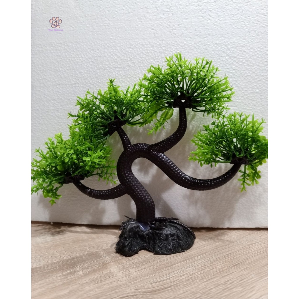 (The Habit) Hiasan aquarium tanaman bonsai, bonsai aquarium, dekorasi aquarium tanaman bonsai, pohon