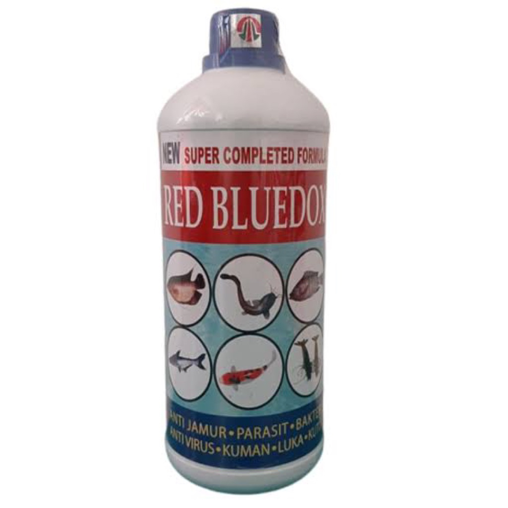 (SEAFOOD) Peacock bass Pinima lebar 9-10 cm