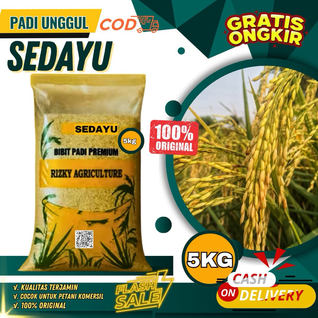 BENIH PADI BIBIT PADI SEDAYU UNGGUL 5 KG