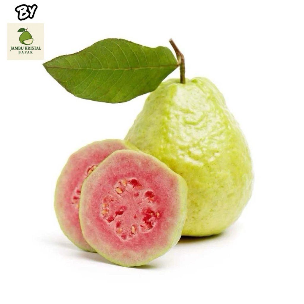 

Jambu Merah 1kg Grade A