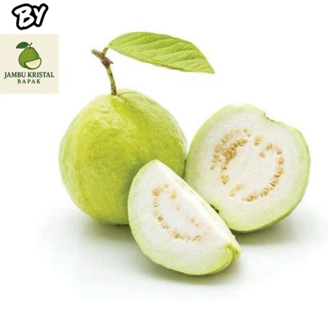 

Jambu Biji 1kg Grade A