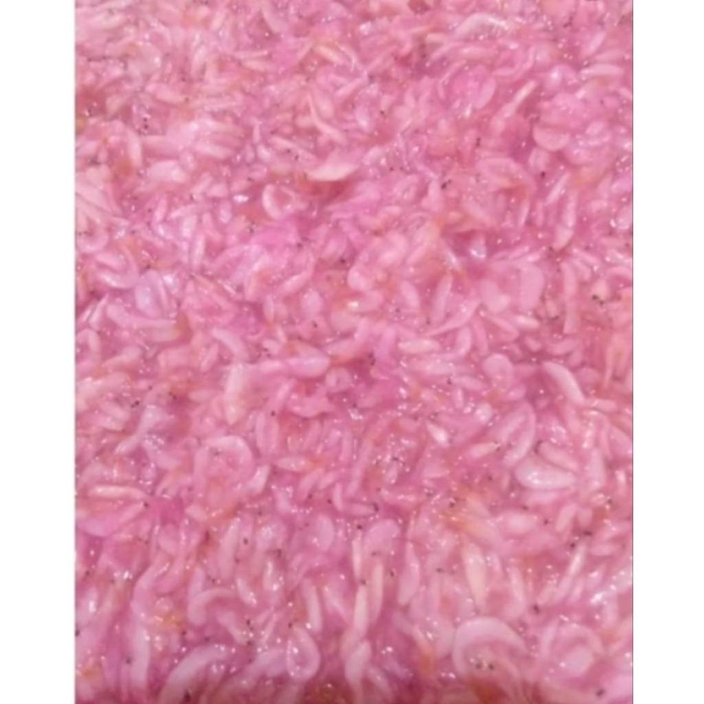 

Ronto/Hakoi/Hekoi/Cincalok/Fermentasi Udang Baring Batu malang 1kg