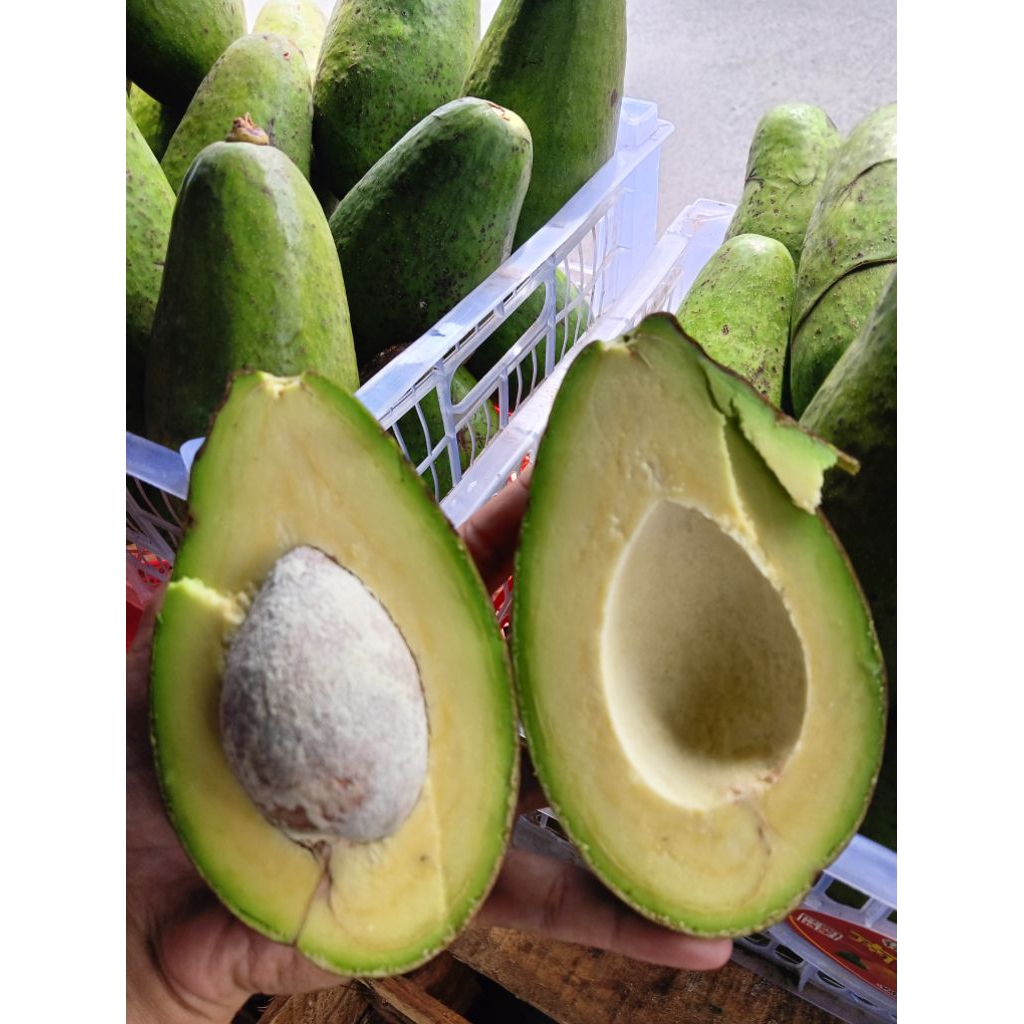 

Alpukat Mentega Lokal 1kg isi 3 Buah alpukat