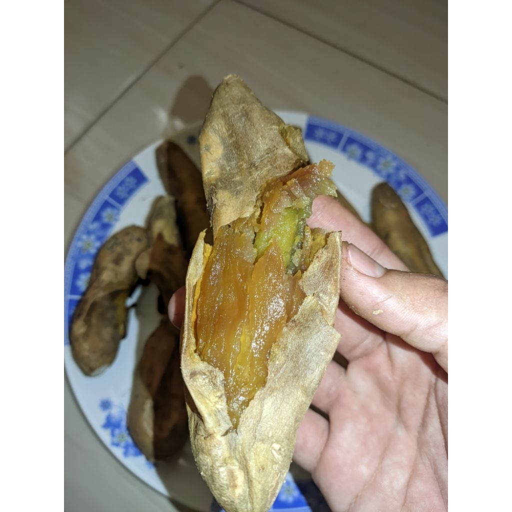 

ubi murah asli cilembu 1 kg cuman 8 ribuan ukuran kecil MENTAH