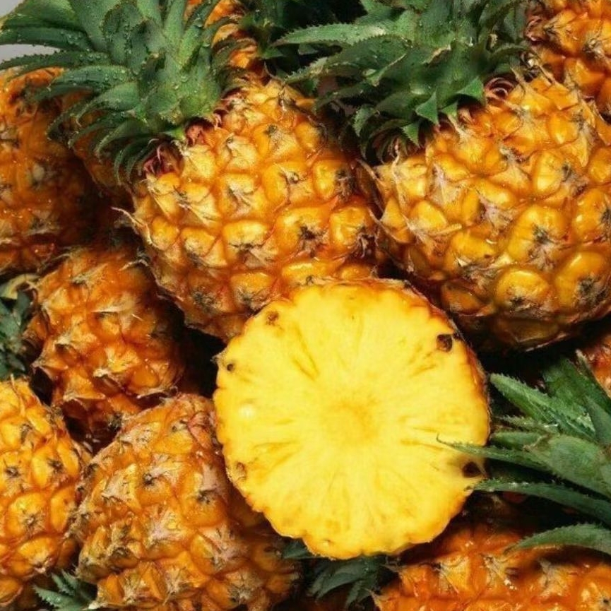 

nanas madu purbalingga_ nanas madu pemalang_buah nanas_buah segar_nanas muda