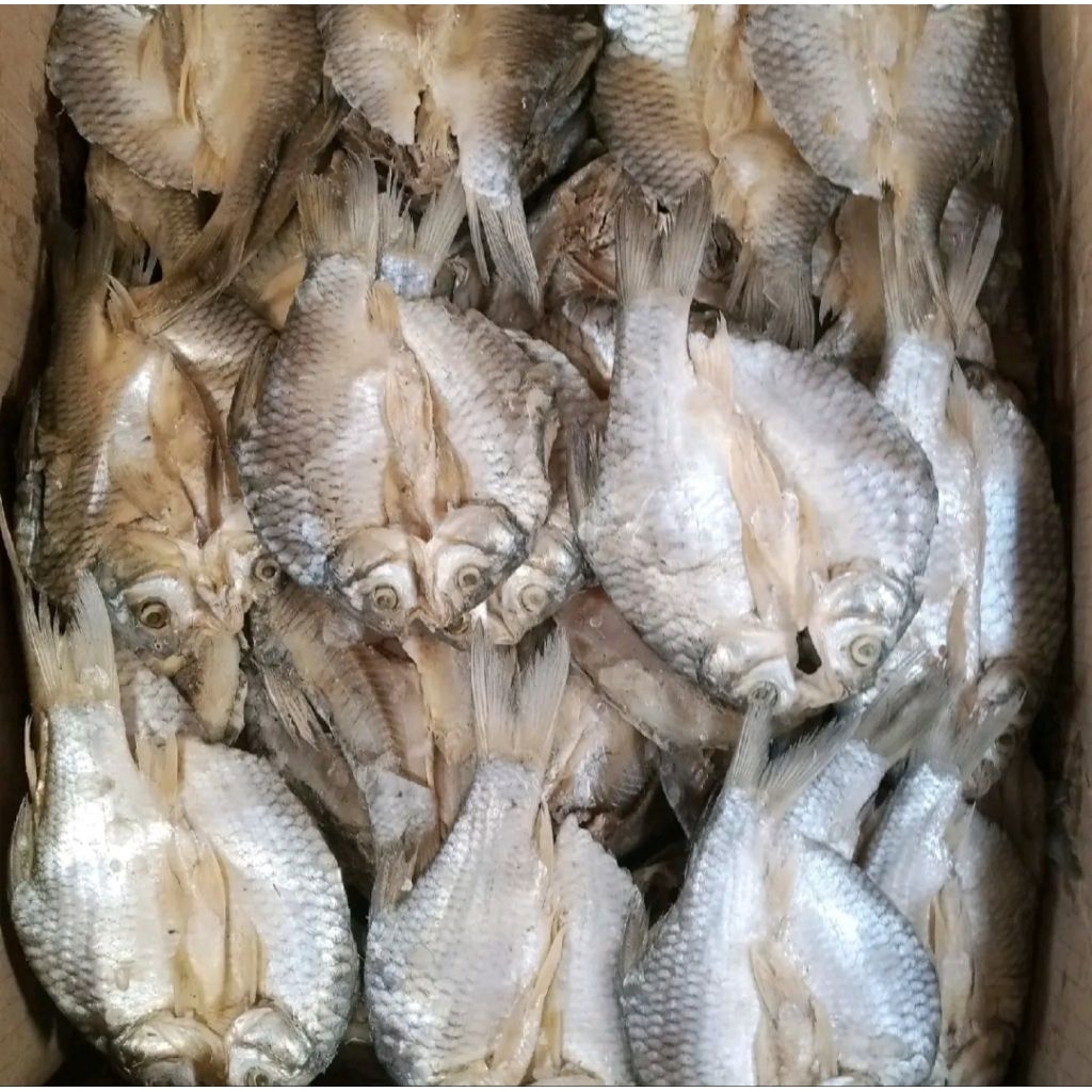 

TERLARIS 1 KG ikan asin tawes belah sedang best seller