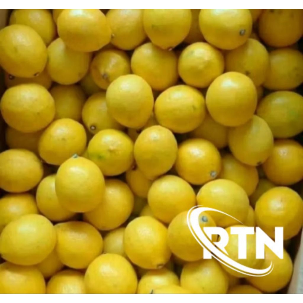 

jeruk lemon California super kuning 3kg segar dan menyehatkan