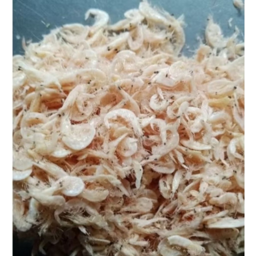 

Ikan Asin Udang Rebon Kering