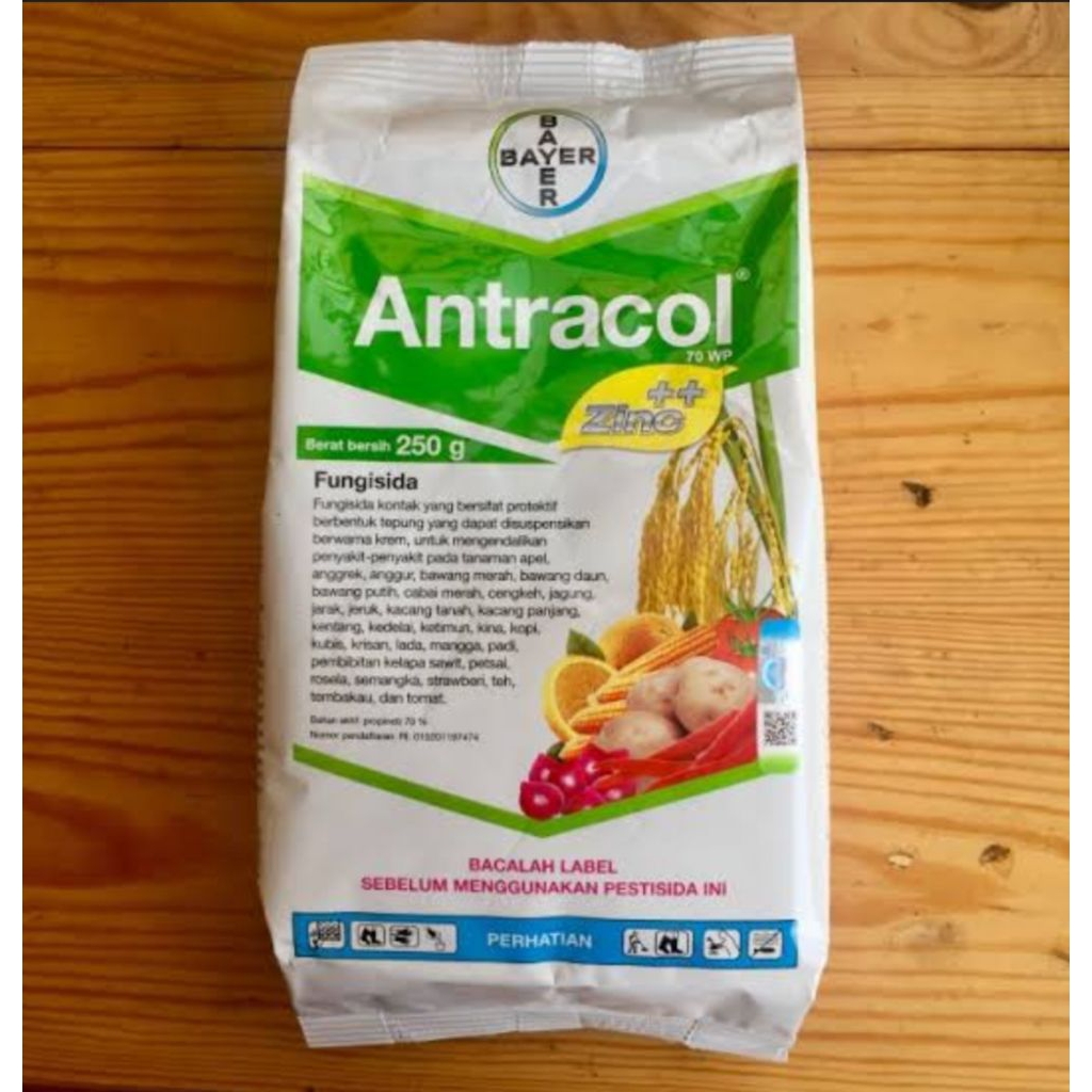 Antracol 250 gram