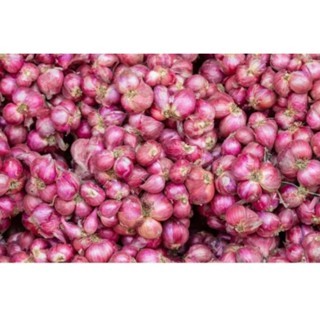 

bamer bawang merah super asli brebes 1 kg kering rempah bumbu masak