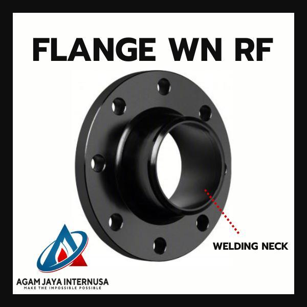 FLANGE WN RF 14" 150# SCH 40 CS