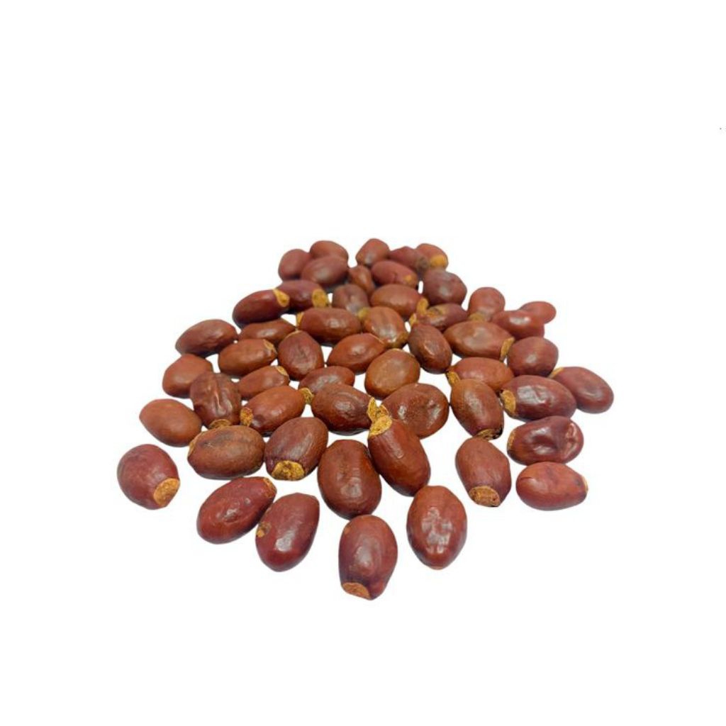 Biji Lychee | Benih Lychee | biji buah Lychee