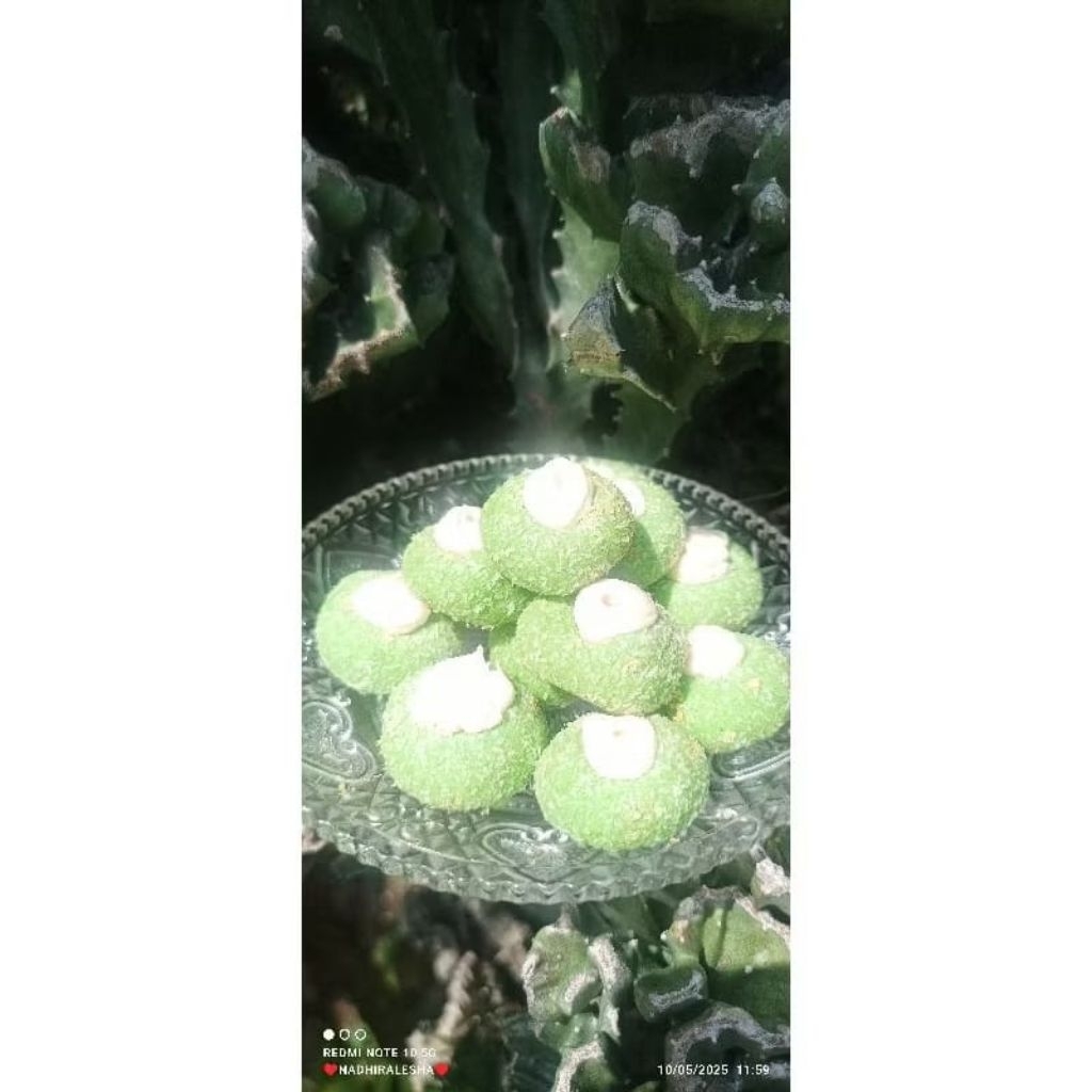 

Rasa Cookies Coconut Vanila