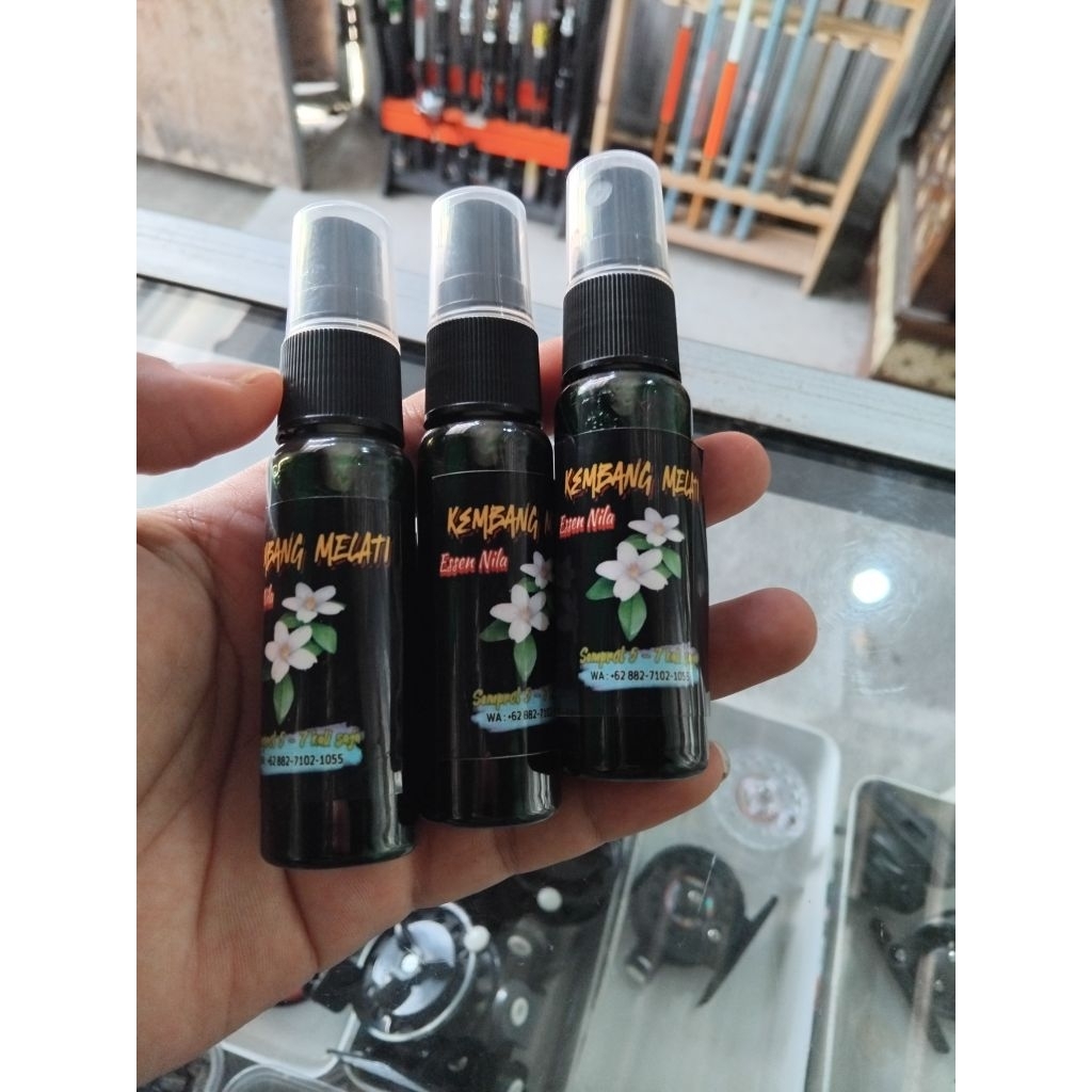 Essen Lumut Kembang Melati