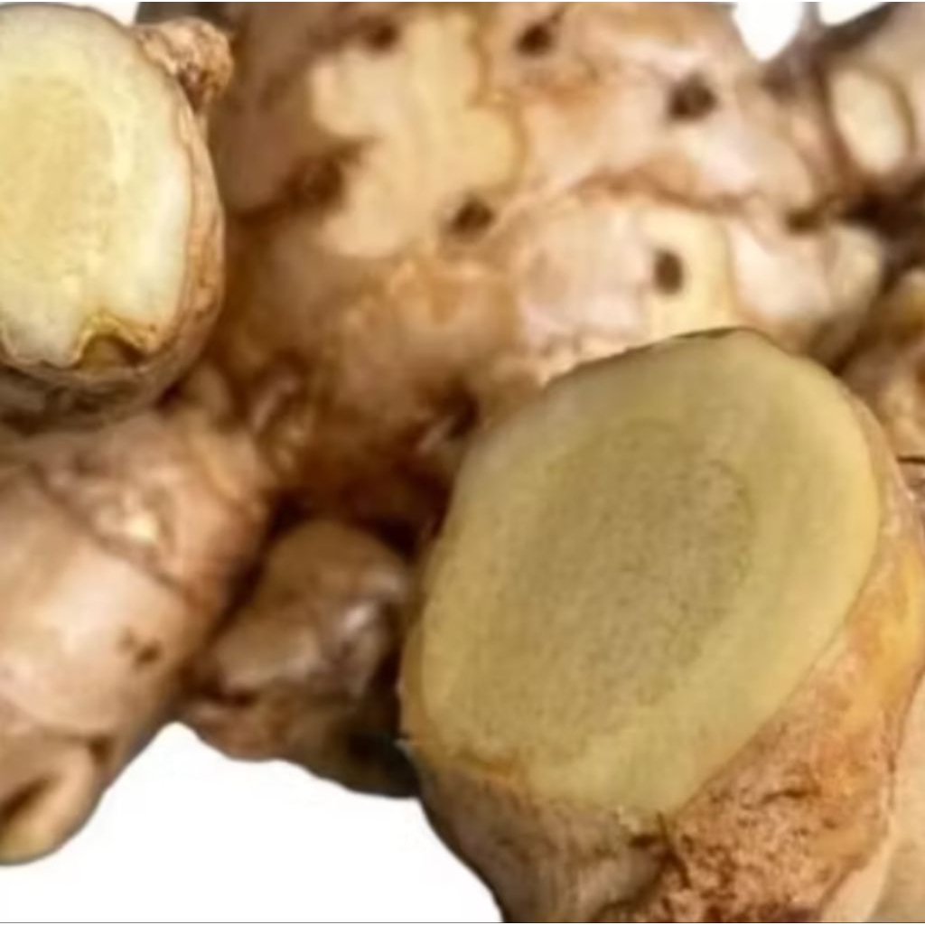 

kunyit putih /temu putih 1kg masih segar