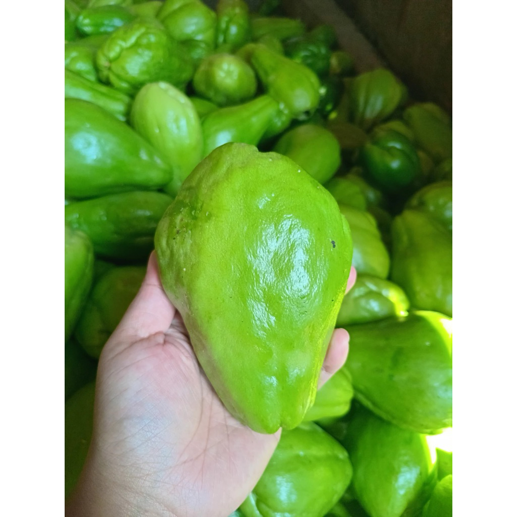 

labu siam 1kg sayuran