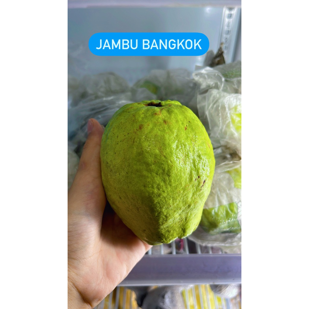 

jambu bangkok biji putih