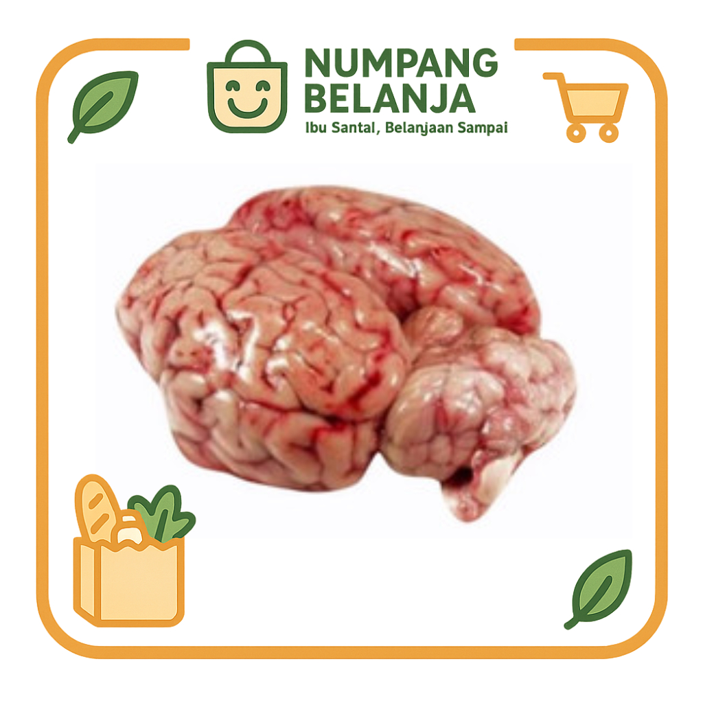 

otak sapi premium fresh [1pcs]