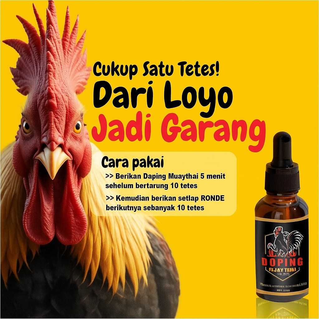 MUAY THAI Bangkok Thailand Asli – Doping Ayam Aduan Vitamin Ayam Bangkok Obat Kuat Stamina & Nafas P