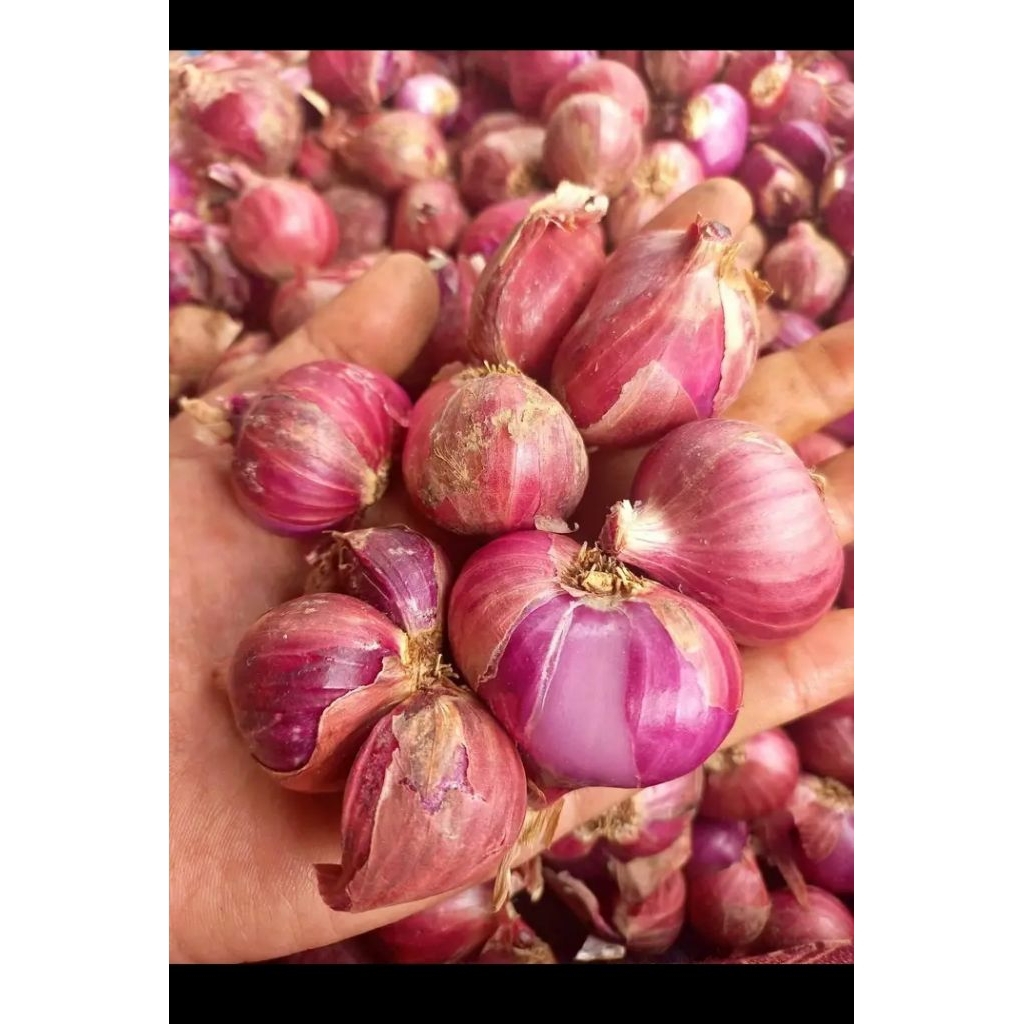 

Bawang merah 500gr